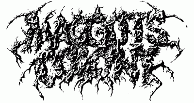 logo Maggots Colony